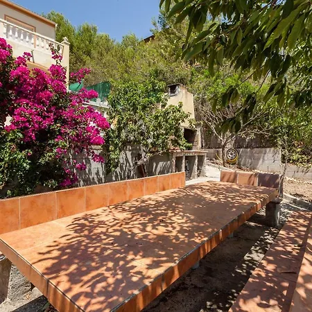 Chalet Alma *